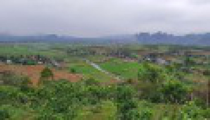Bán em chân dài Cao Phong dt 5ha đẹp như trong tranh