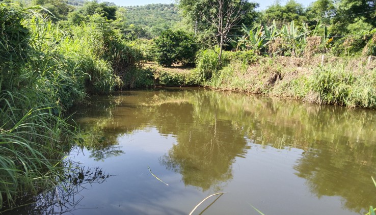 Bán đất Cao Phong hơn 7000m view thoáng