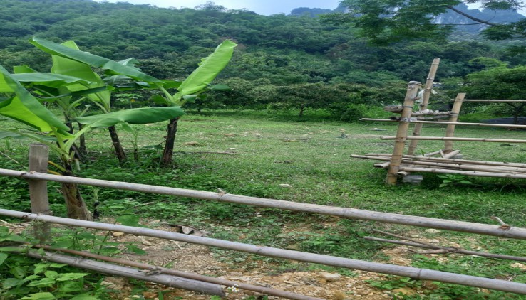 BÁN ĐẤT LƯƠNG SƠN 1400M CÓ SUỐI BẰNG PHẲNG GIÁ NHỈNH TỶ TÍ