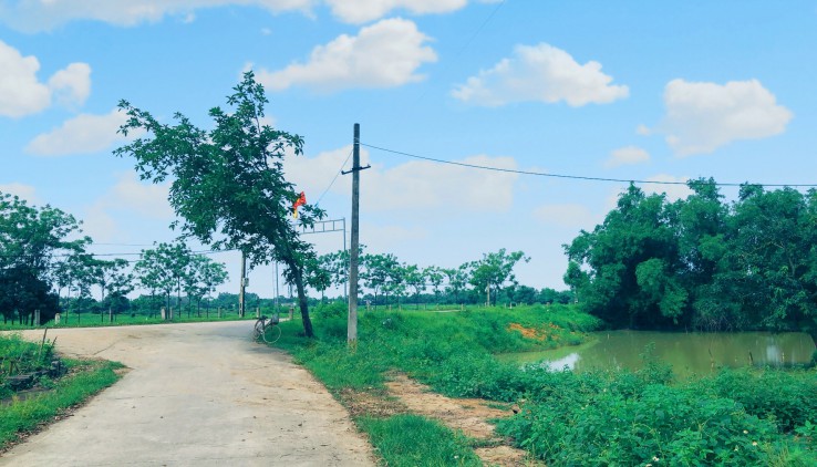 Bán đất Chương Mỹ 3600m  tại Nam Phương Tiến, lô góc 2 mặt tiền view cánh đồng đường rộng