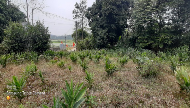 Hàng nóng bỏng tay với diện tích 1050m2 trong đó có 150m thổ cư  còn lại là đất trồng cây lâu năm tại Liên Sơn- Lương Sơn- Hoà bình.