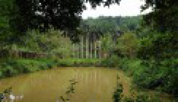 Lô đất tại Kim Sơn Sơn tây ( đuôi hồ đồng mô) Dt 2251m.