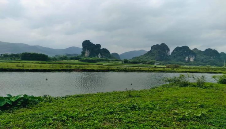 Bán Đất Xã Cao Răm , Lương Sơn , Hòa Bình . Dt 4300m2
