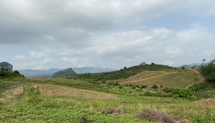 Bán Gấp chân dài Cao Phong, tổng dt 5 ha trang trại đẹp như trong tranh