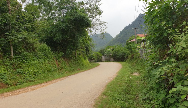 Bán Đất Xã Cao Dương , Lương Sơn , Hòa Bình .  Dt   1500m2
