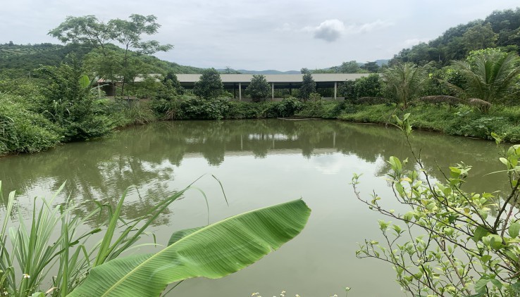 Bán Gấp Lô Đất Thổ CưTại Kim Bôi -Hoà Binh View Cao Thoáng Tầm Nhìn Roonhj Giá Rẻ