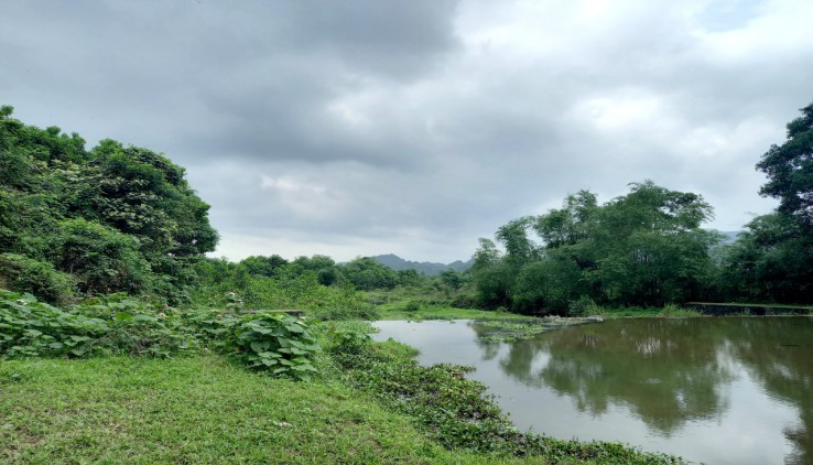 Bán Đất Lương Sơn Có 1,5ha Đất Cao Thoáng Có Ao Trong Đất Giá Đầu Tư