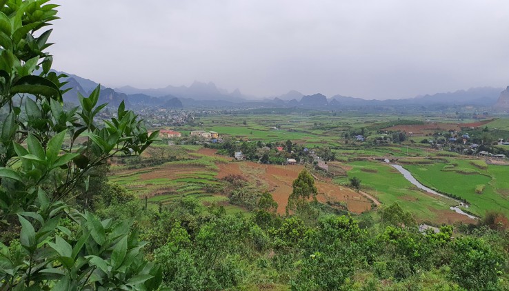 Bán đất Cao Phong 3,6ha view cao thoáng siêu đẹp