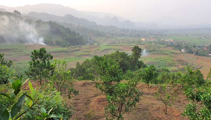 Bán đất Cao Phong 3,6ha view cao thoáng siêu đẹp