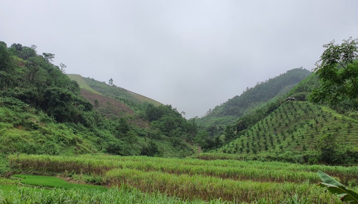 Tại Cao Phong đang có lô đất đẹp giá rẻ cần nhượng lại cho ai đang cần