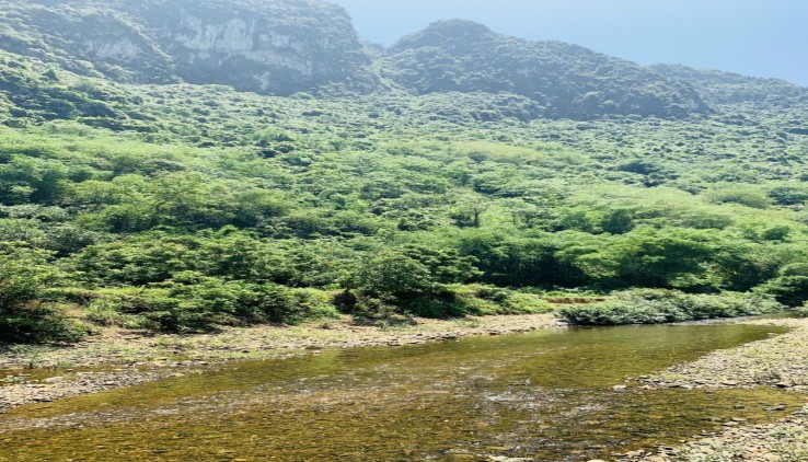 đất bám suối và suối chảy giữa đất tuyệt đẹp tại KimBôi - Hòa Bình