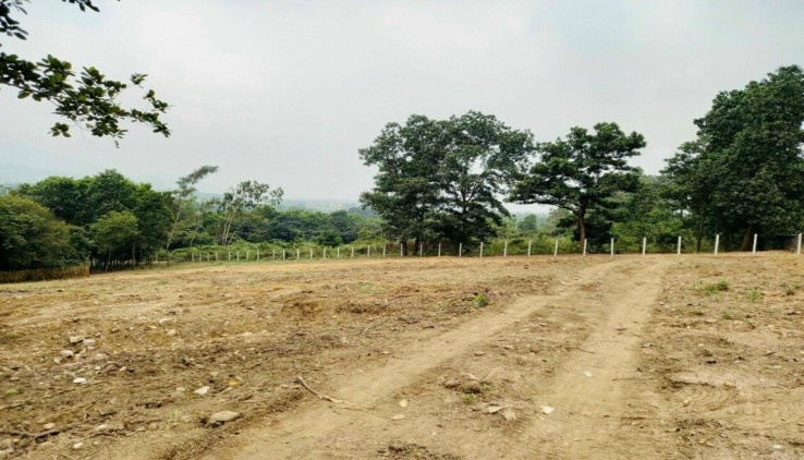bán đất gần cổng sân gold Skylake mặt tiền 100m tại Lương Sơn - Hòa Bình