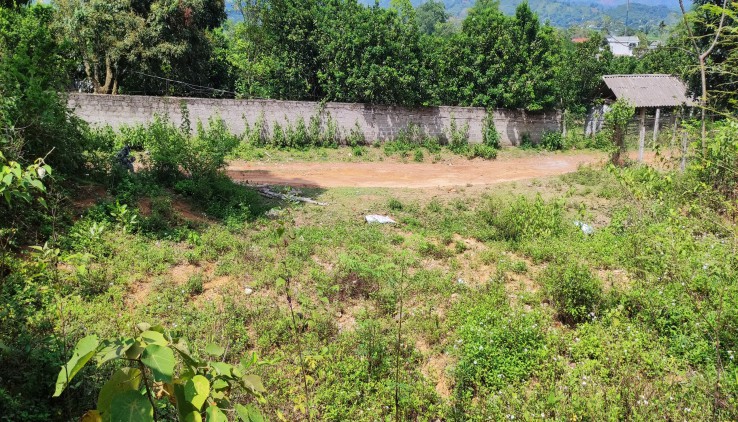 Bán ngay 964m2 đất Hoà Bình, đất bằng phẳng không khí trong lành