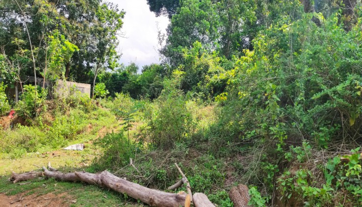 Bán ngay 964m2 đất Hoà Bình, đất bằng phẳng không khí trong lành