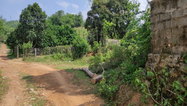 Bán ngay 964m2 đất Hoà Bình, đất bằng phẳng không khí trong lành