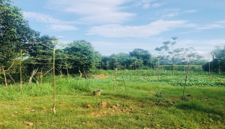 Bán Nhanh Siêu Phẩm Nghỉ Dưỡng Tại Kim Bôi -Hoà Bình Vùng Đất Du Lịch Tiềm Năng