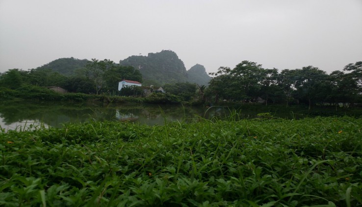 Đất có ao , có suố , có view núi đá đẹp như tranh tại Hợp Châu - Lương Sơn - Hòa Bình