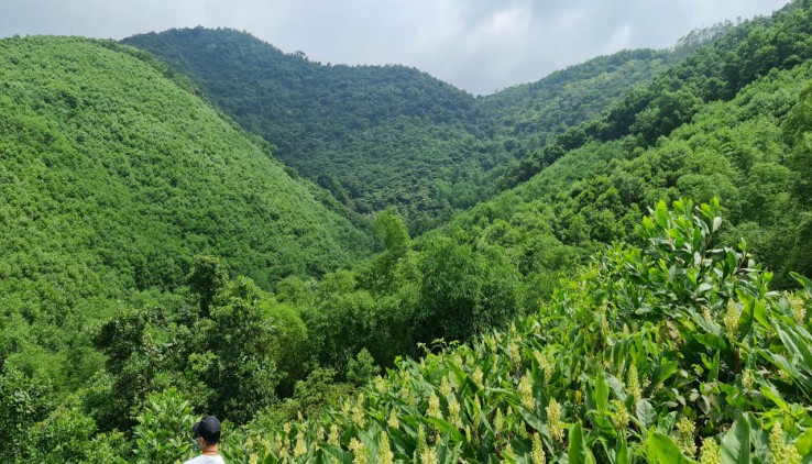 BÁN ĐẤT LIÊN SƠN _LƯƠNG SƠN _HOÀ BÌNH ĐẦU TƯ SINH LỜI