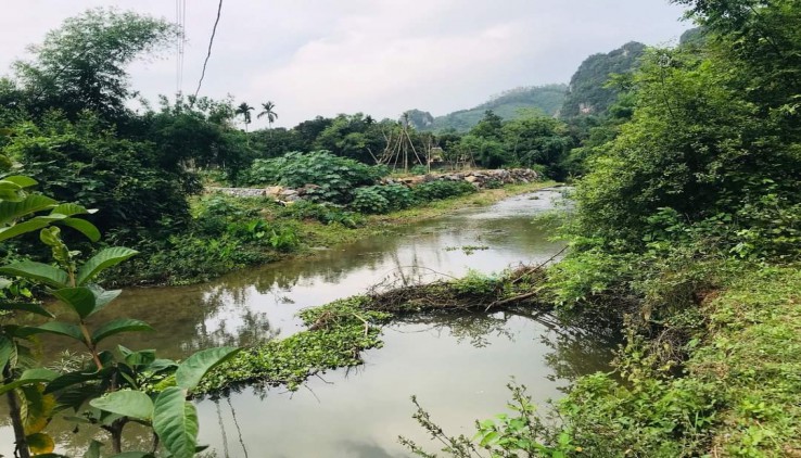 Bán 2300m Thổ Cư Bằng Phẳng Bám Suối To Giá Rẻ Lương Sơn -Hoà Bình