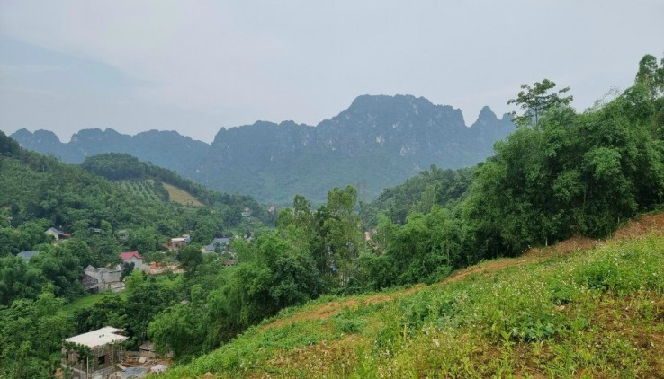 bán 7,6 ha đất view hồ , view núi tại Liên Sơn - Lương Sơn - Hòa Bình