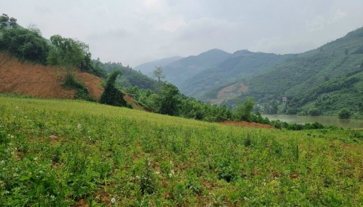 bán 7,6 ha đất view hồ , view núi tại Liên Sơn - Lương Sơn - Hòa Bình