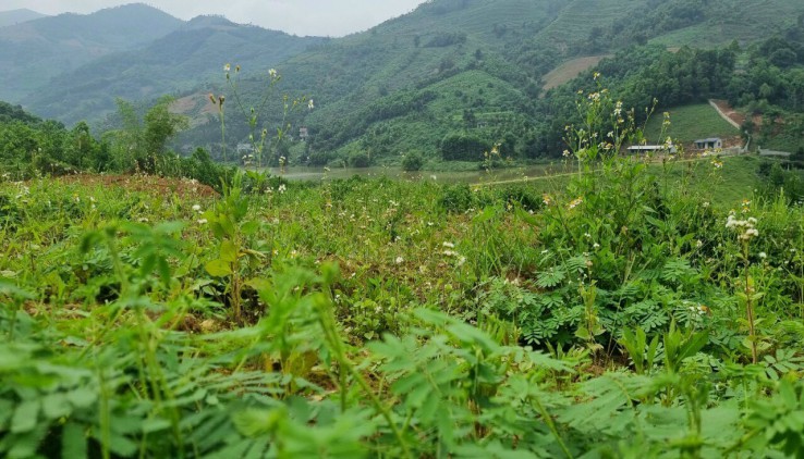 bán 7,6 ha đất view hồ , view núi tại Liên Sơn - Lương Sơn - Hòa Bình