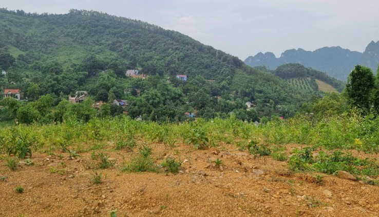 bán 7,6 ha đất view hồ , view núi tại Liên Sơn - Lương Sơn - Hòa Bình