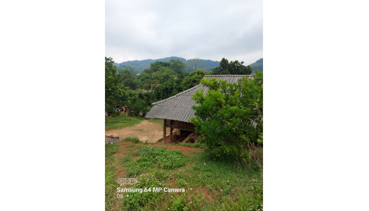 Bán đất Cao Phong 3000m có sẵn nhà sàn view thoáng.Khu vực :Bán Đất tại Huyện Cao Phong Hòa Bình