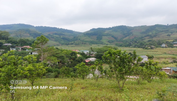 Bán đất Cao Phong 3000m có sẵn nhà sàn view thoáng.