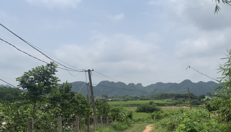 Bán dt 4ha9 có 800ont và 11.130m ( 1,1ha)  đất trồng cây lâu năm tại Lạc Thủy- Hòa Bình.