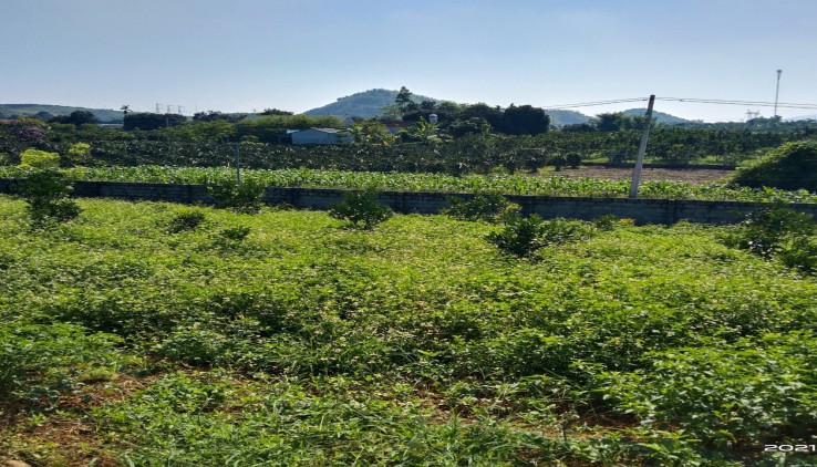 BÁN 4600M THỔ CƯ VIEW CAO THOÁNG TẦM NHÌN XA GIÁ ĐẦU TƯ CAO PHONG -HOÀ BÌNH