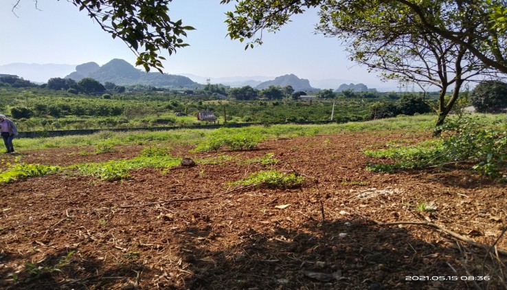 BÁN 4600M THỔ CƯ VIEW CAO THOÁNG TẦM NHÌN XA GIÁ ĐẦU TƯ CAO PHONG -HOÀ BÌNH