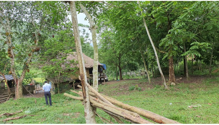 BÁN ĐẤT LƯONG SƠN 5HA(50000M) BÁM SUỐI, CÓ MẠCH NƯỚC NGẦM GIÁ 12TY