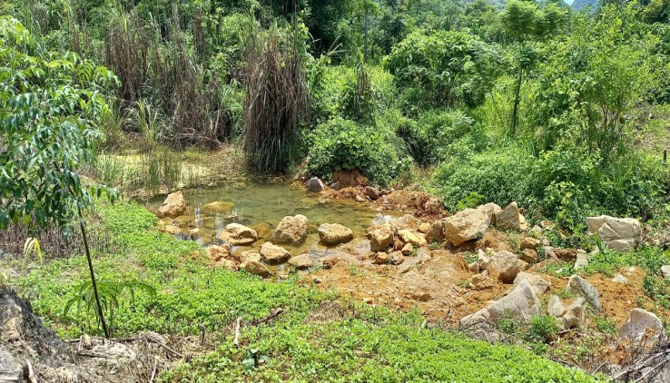 Đất trang trại nghỉ dưỡng có suối chảy trong đất dt 6ha