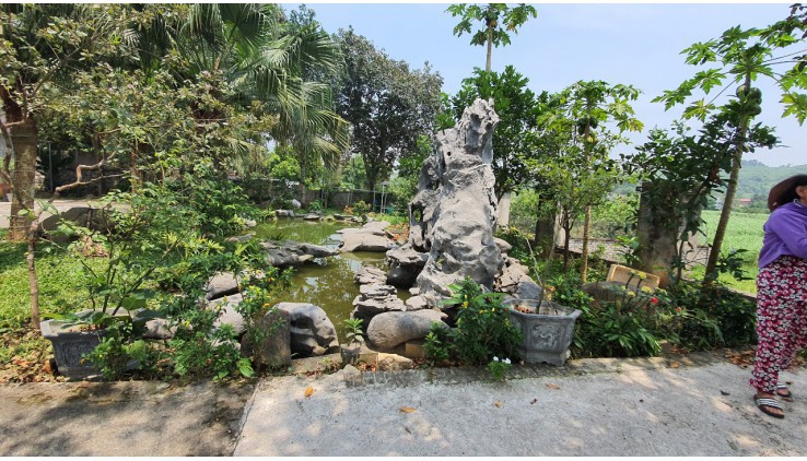 Bán Khuôn Viên Nghỉ Dưỡng Hoàn Thiện tại Vân Hoà - Ba Vì với diện tích 1100m