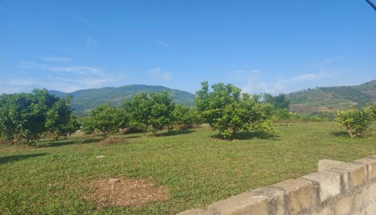bán 2909m đất full thổ cư tại Bắc Phong - Cao Phong - Hòa Bình