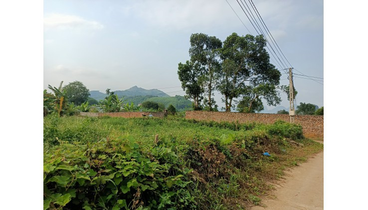 BÁN SIÊU PHẨM NGHỈ DƯỠNG 3000M TẠI VĨNH TIẾN KIM BÔI GIÁ RẺ NHANH TAY THÔI Ạ