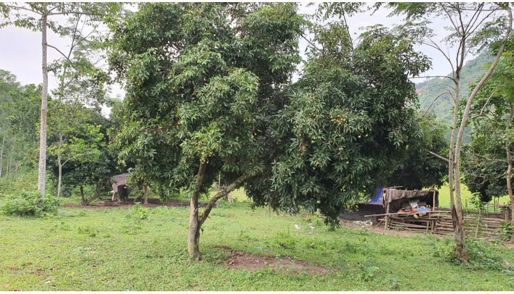 BÁN SIÊU PHẨM NGHỈ DƯỠNG 5HA TẠI LƯƠNG SƠN TẠI ĐÂY SƠN THUỶ HỮU TÌNH GIÁ ĐẦU TƯ