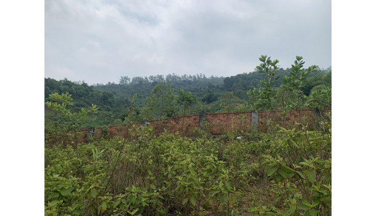 BÁN ĐẤT YÊN BÀI BA VÌ 1300M sát MÍT HILLTOP VUÔNG NHƯ BÁNH TRƯNG VIEW CAO THOÁNG GIÁ 2,x tr/m