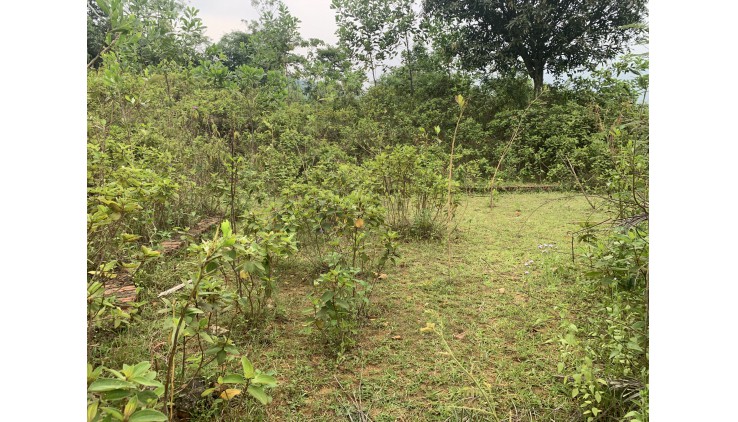 BÁN ĐẤT YÊN BÀI BA VÌ 1300M sát MÍT HILLTOP VUÔNG NHƯ BÁNH TRƯNG VIEW CAO THOÁNG GIÁ 2,x tr/m