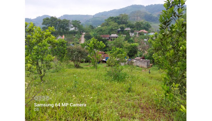 Chính Chủ Gửi Bán đất Cao Phong 3000m có sẵn nhà sàn view thoáng Giá Đầu Tư