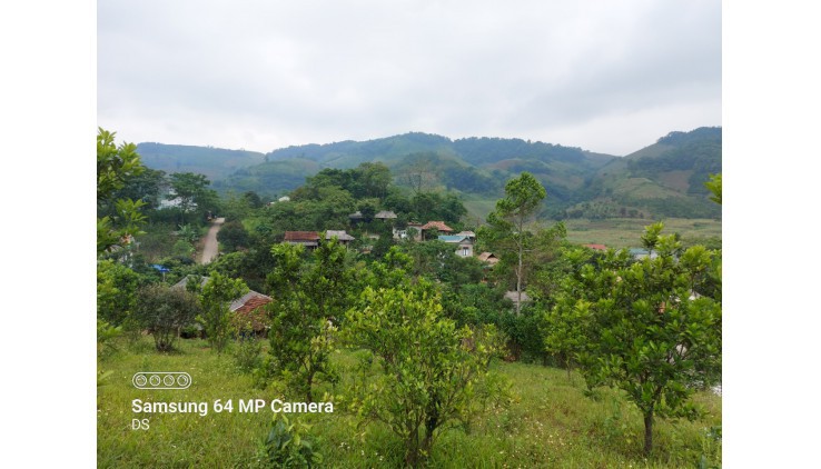 Chính Chủ Gửi Bán đất Cao Phong 3000m có sẵn nhà sàn view thoáng Giá Đầu Tư