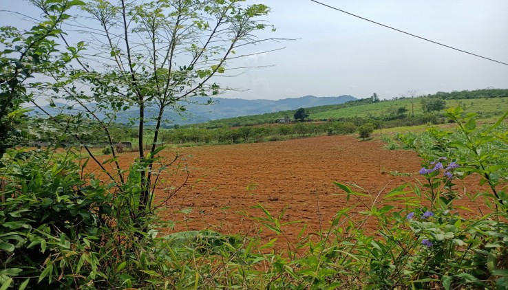 5950m2 , 400m thổ cư tại Dũng Phong cao phong