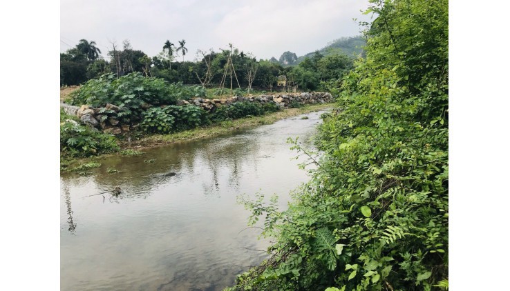Bán 2300m đất thổ cư nghỉ dưỡng bám suối tại Lương Sơn - Hoà Bình giá chưa tới 1tr/m.