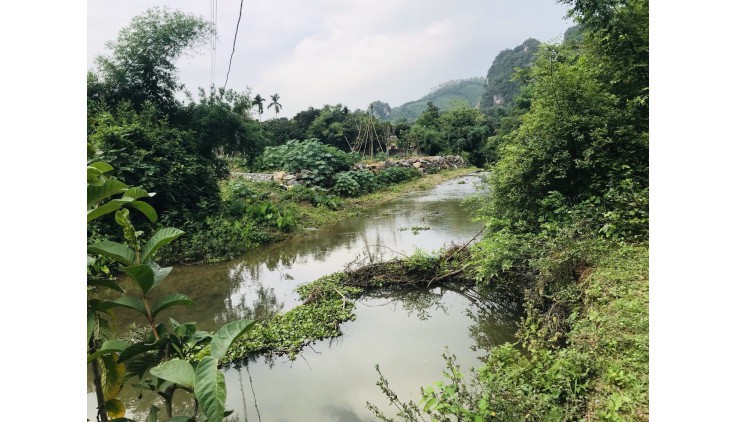Bán 2300m đất thổ cư nghỉ dưỡng bám suối tại Lương Sơn - Hoà Bình giá chưa tới 1tr/m.