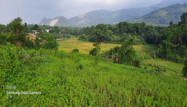 Bán đất Lương sơn diện tích 5100m thế đất thoải hình bát úp view cánh đồng và những dãy núi trùng điệp