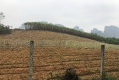 BÁN ĐẤT BÁM HỒ TẠI CAO PHONG HÒA BÌNH - 4000M ( 400 THỔ CƯ) TAY CHẠM NƯỚC