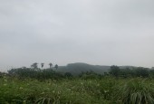 Bán Đất Xã Trường Sơn , Lương Sơn , Hòa Bình .  Dt  8.700m2