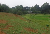 Bán Đất Xã Cư Yên , Lương Sơn , Hòa Bình .  Dt  3350m2