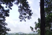 Bán đất bám hồ Đồng Chanh diện tich 5000m